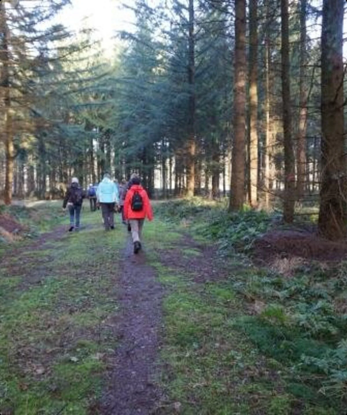 Gruppe Menschen auf Wanderung im Wald | © Doris Kaltenborn Sektion Oldenburg