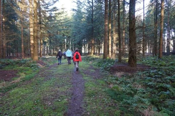 Gruppe Menschen auf Wanderung im Wald | © Doris Kaltenborn Sektion Oldenburg
