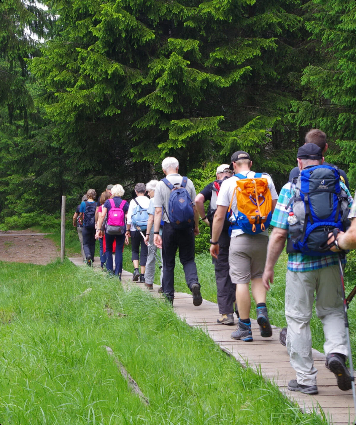 Eine Wandergruppe wandert auf einem Weg im Hintergrund ist ein Wald zu sehen | © DAV Sektion Oldenburg