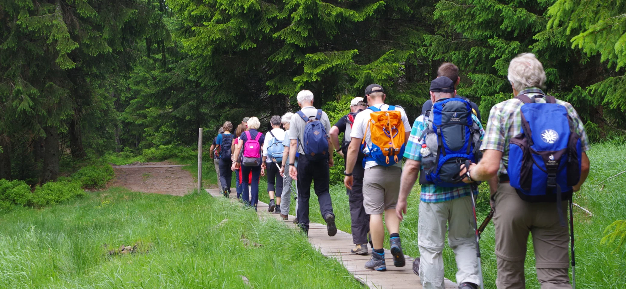 Eine Wandergruppe wandert auf einem Weg im Hintergrund ist ein Wald zu sehen | © DAV Sektion Oldenburg