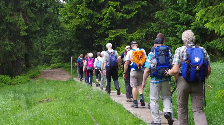 Eine Wandergruppe wandert auf einem Weg im Hintergrund ist ein Wald zu sehen | © DAV Sektion Oldenburg