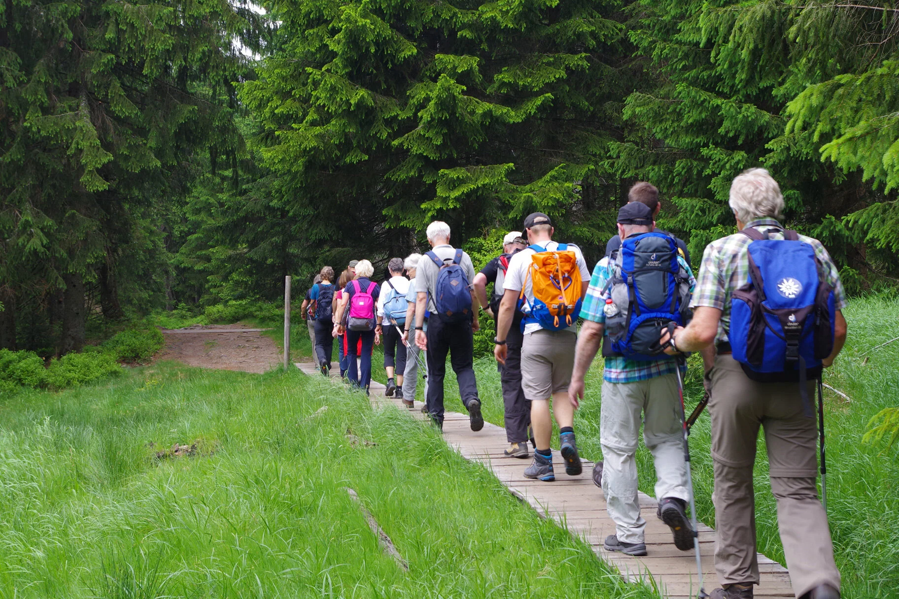 Eine Wandergruppe wandert auf einem Weg im Hintergrund ist ein Wald zu sehen | © DAV Sektion Oldenburg