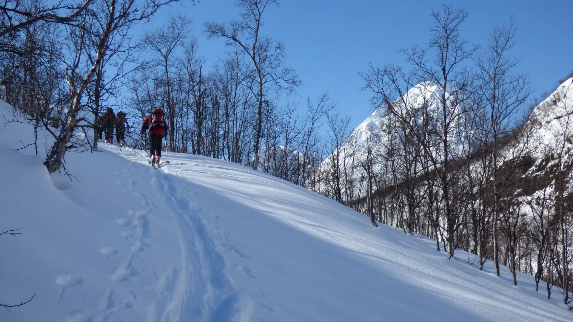 Ski-Fahrer auf einer Tour  | © Wilhelm Krick