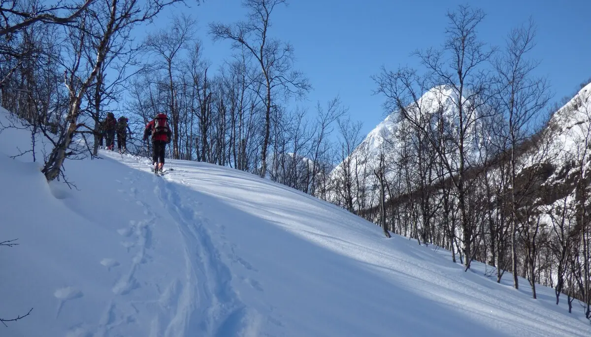 Ski-Fahrer auf einer Tour  | © Wilhelm Krick