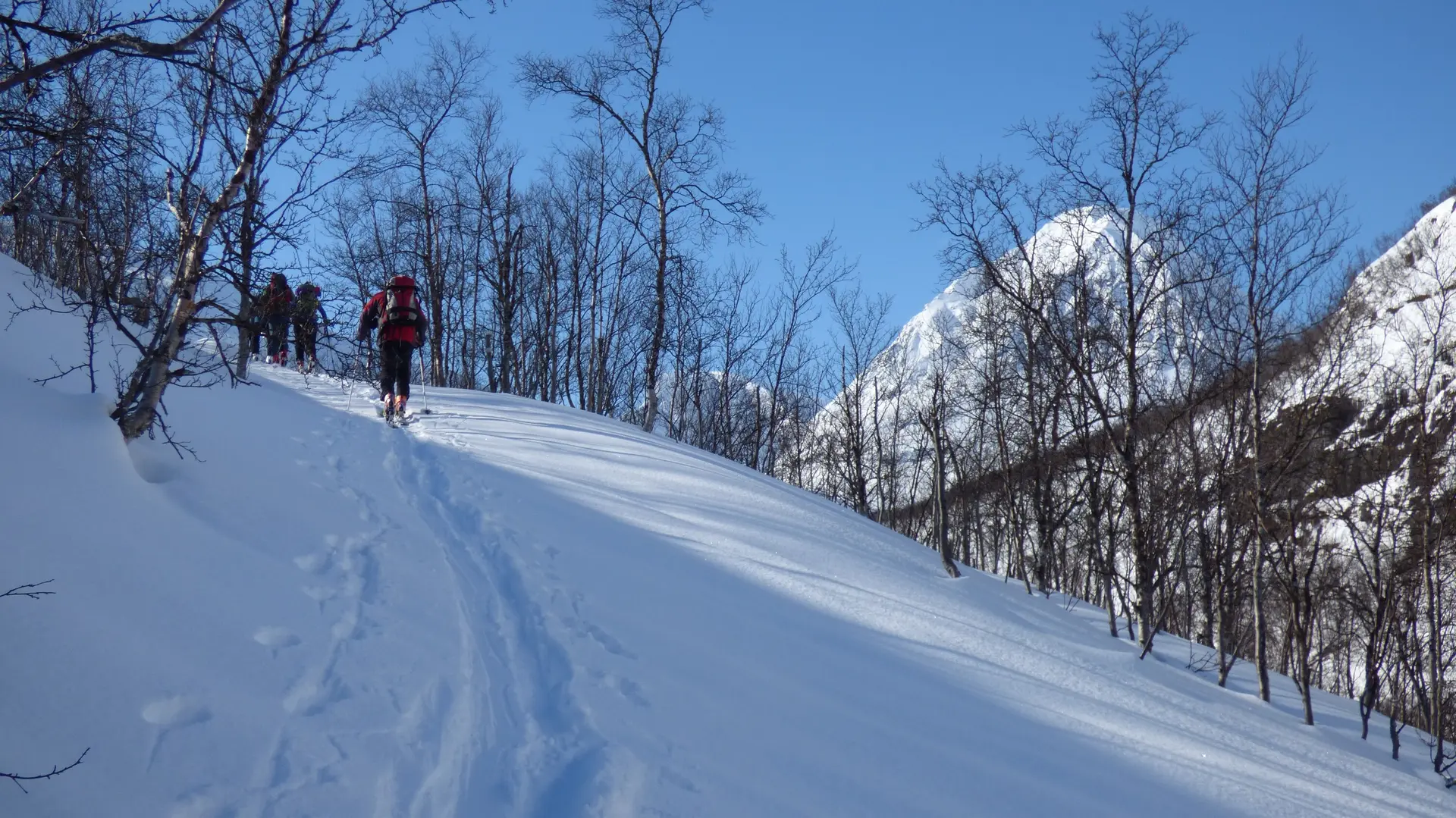 Ski-Fahrer auf einer Tour  | © Wilhelm Krick