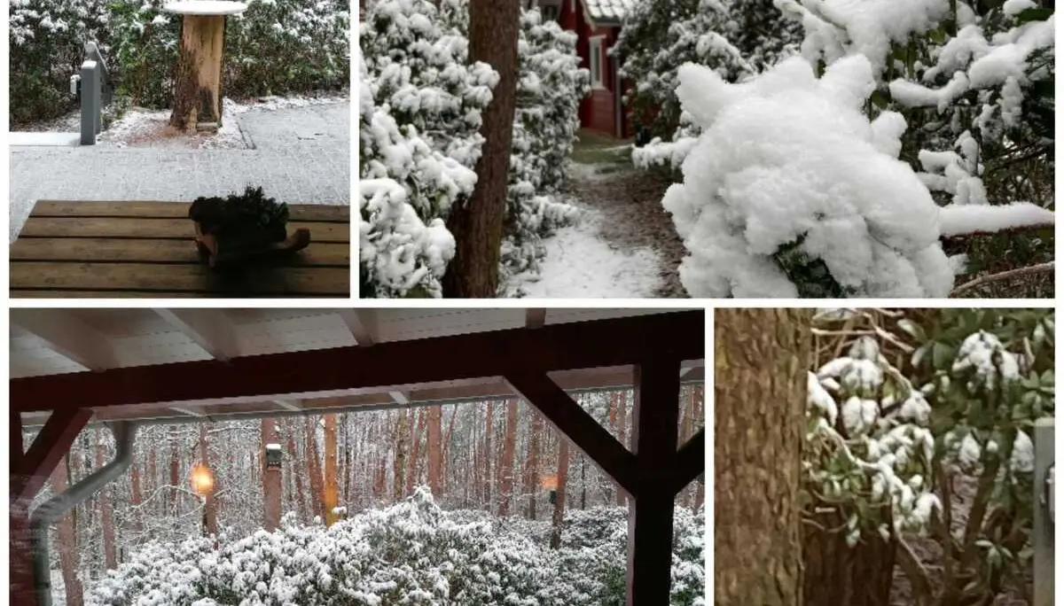 Grünkohlessen 2026 | © Frank Görisch