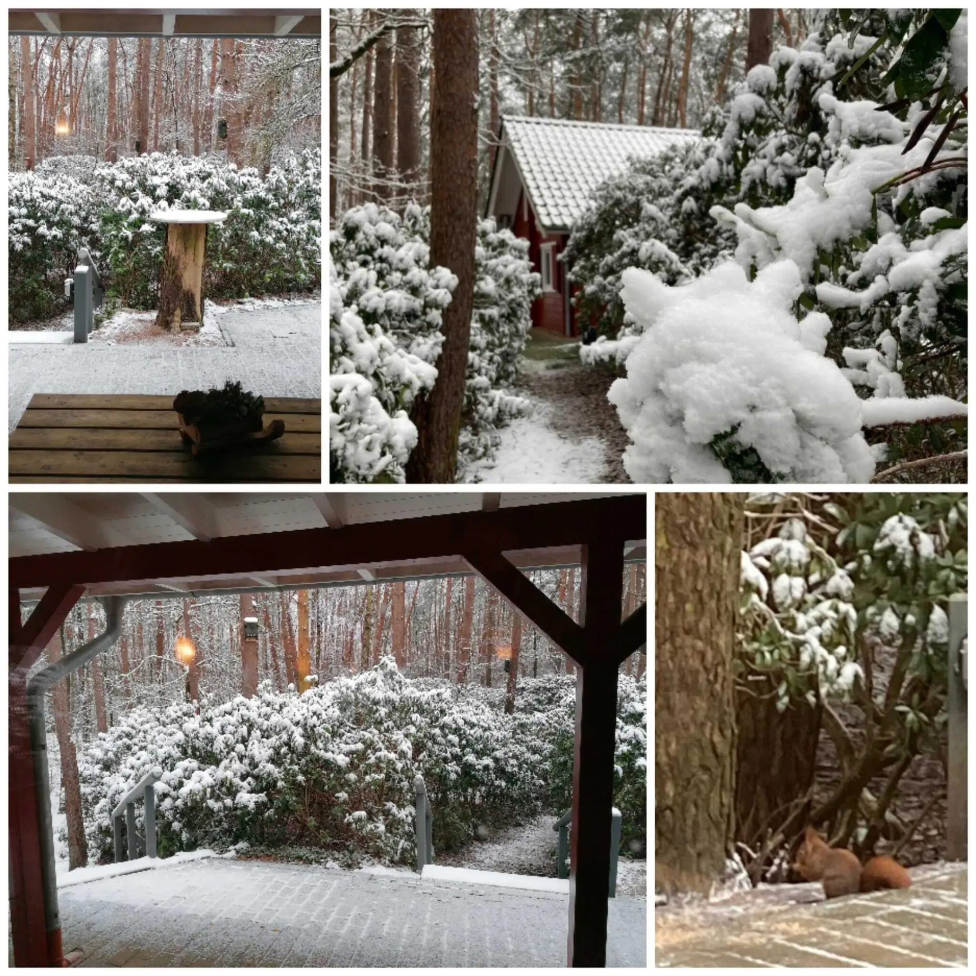 Grünkohlessen 2026 | © Frank Görisch