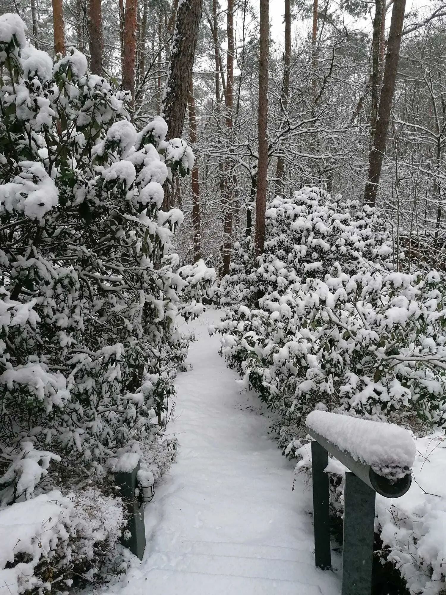 Grünkohlessen 2026 | © Frank Görisch