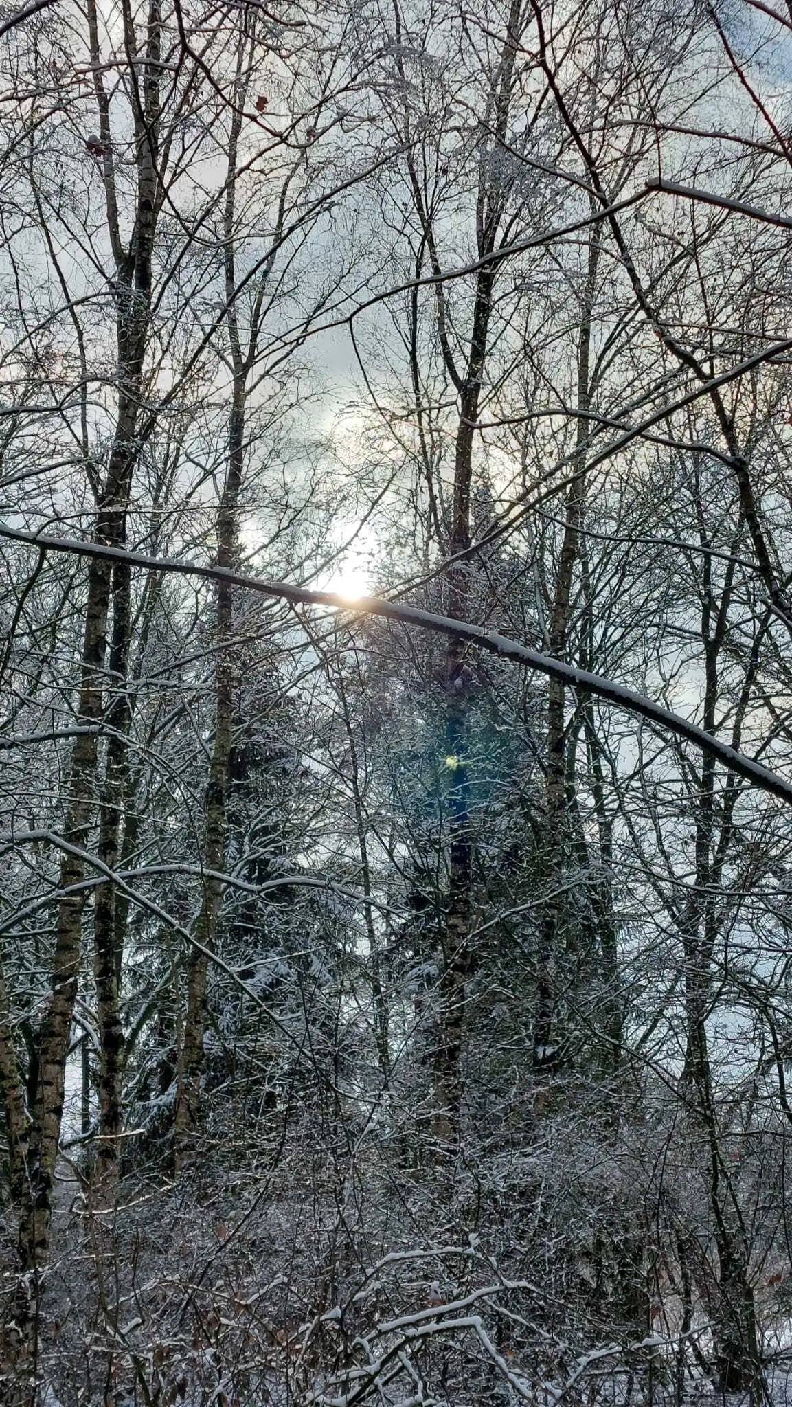 Grünkohlessen 2026 | © Frank Görisch