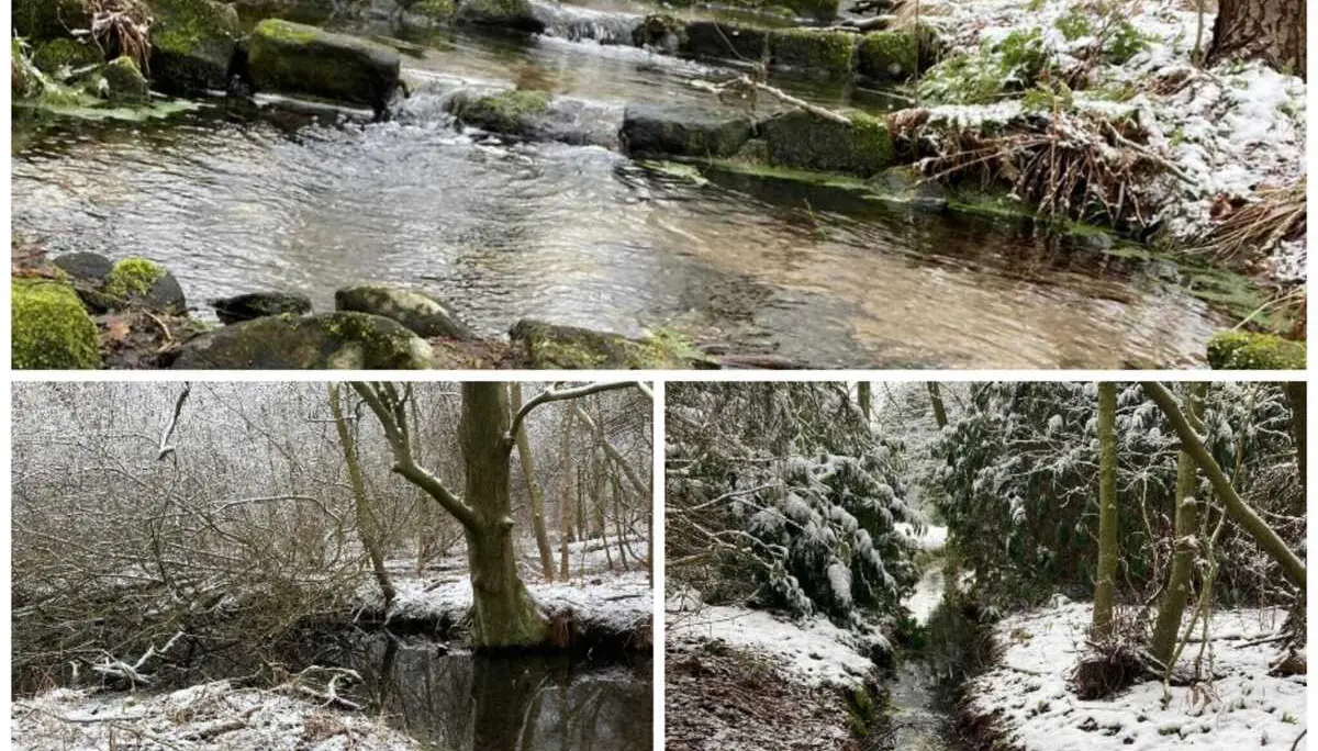 Grünkohlessen 2026 | © Frank Görisch