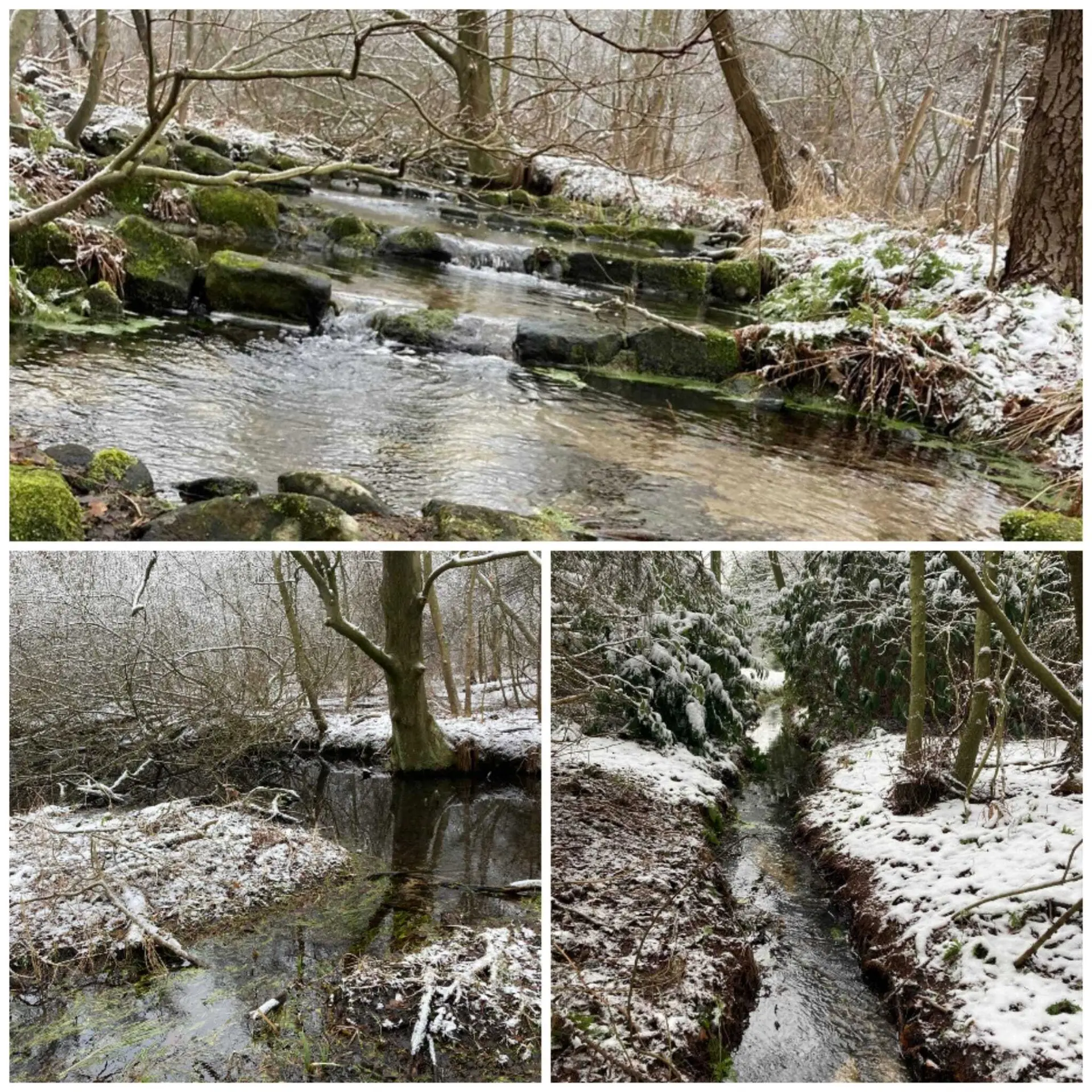 Grünkohlessen 2026 | © Frank Görisch