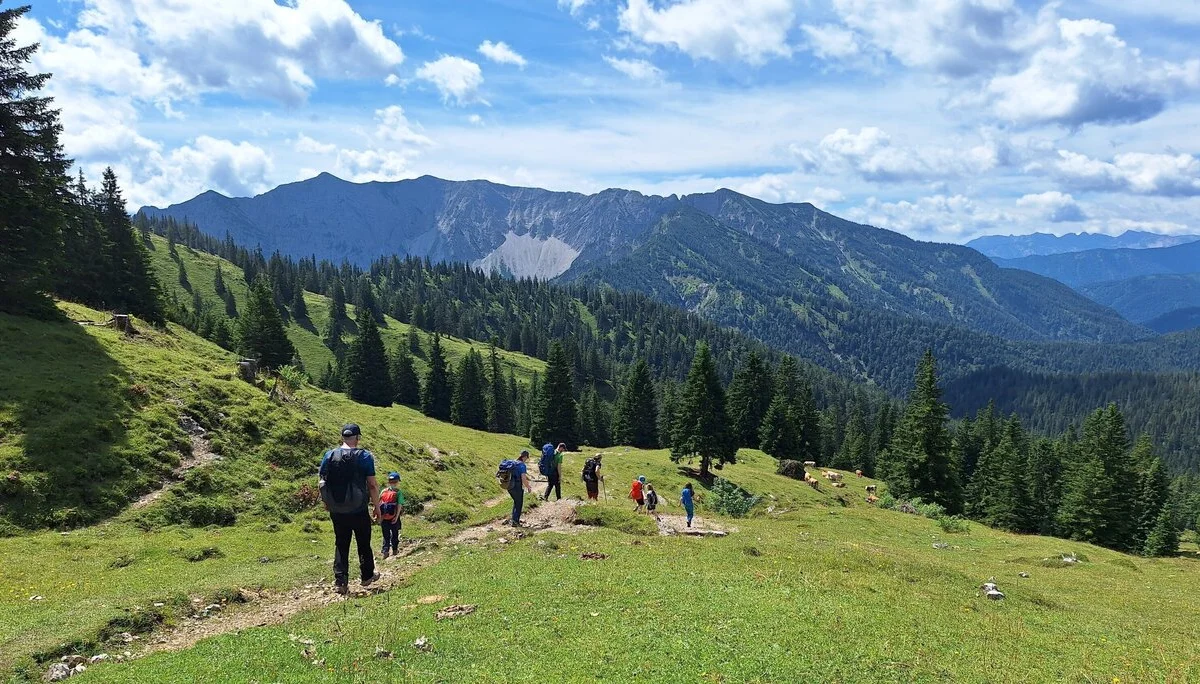 Eine Gruppe mit Kindern wandert über eine Almwiese | © Patrick Schönfeldt