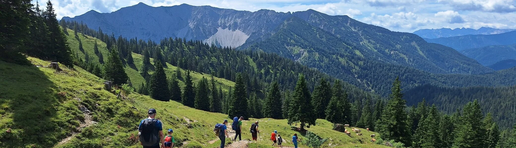 Eine Gruppe mit Kindern wandert über eine Almwiese | © Patrick Schönfeldt