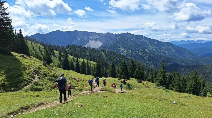 Eine Gruppe mit Kindern wandert über eine Almwiese | © Patrick Schönfeldt