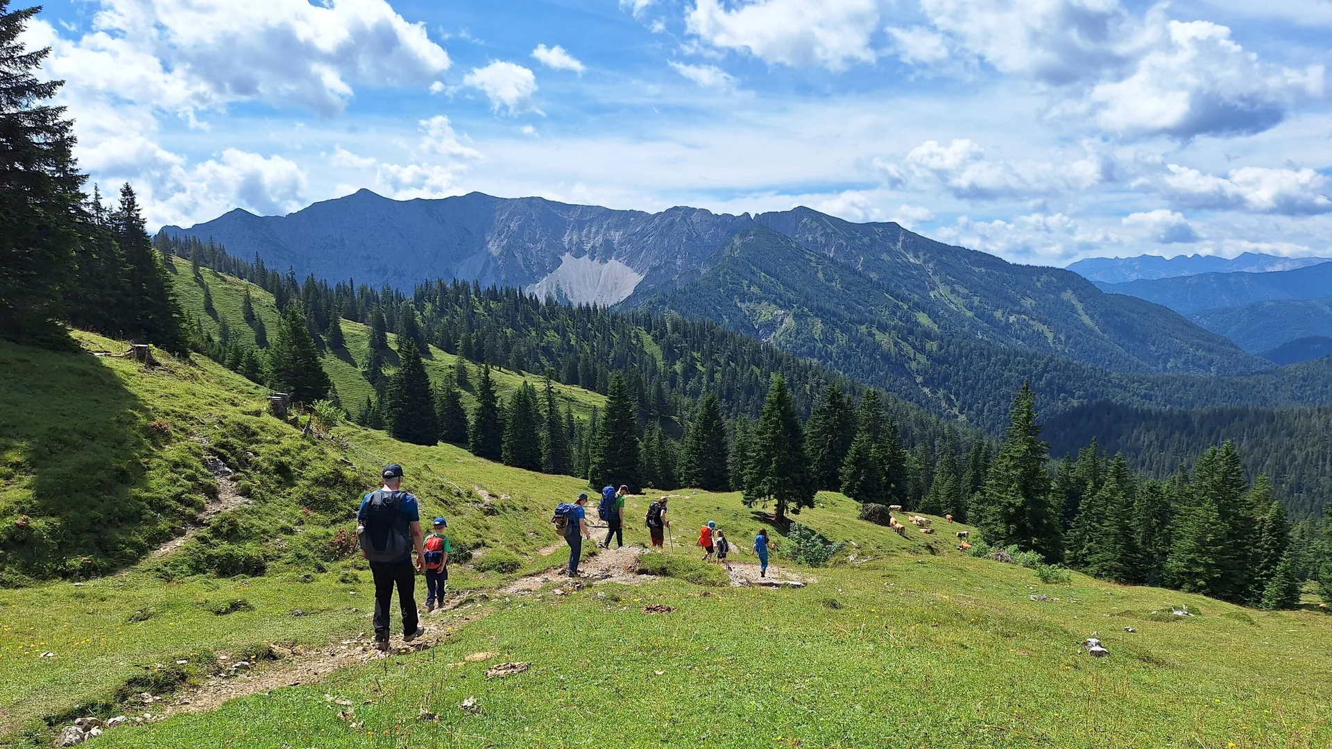 Eine Gruppe mit Kindern wandert über eine Almwiese | © Patrick Schönfeldt