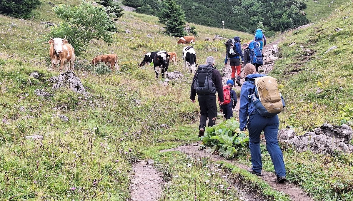 Wandergruppe mit Kühen | © Patrick Schönfeldt