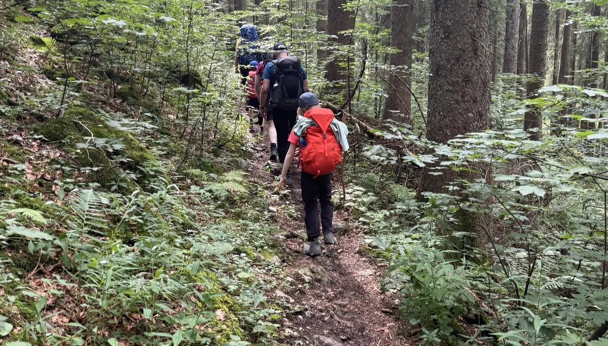 Wandergruppe im Wald | © Patrick Schönfeldt