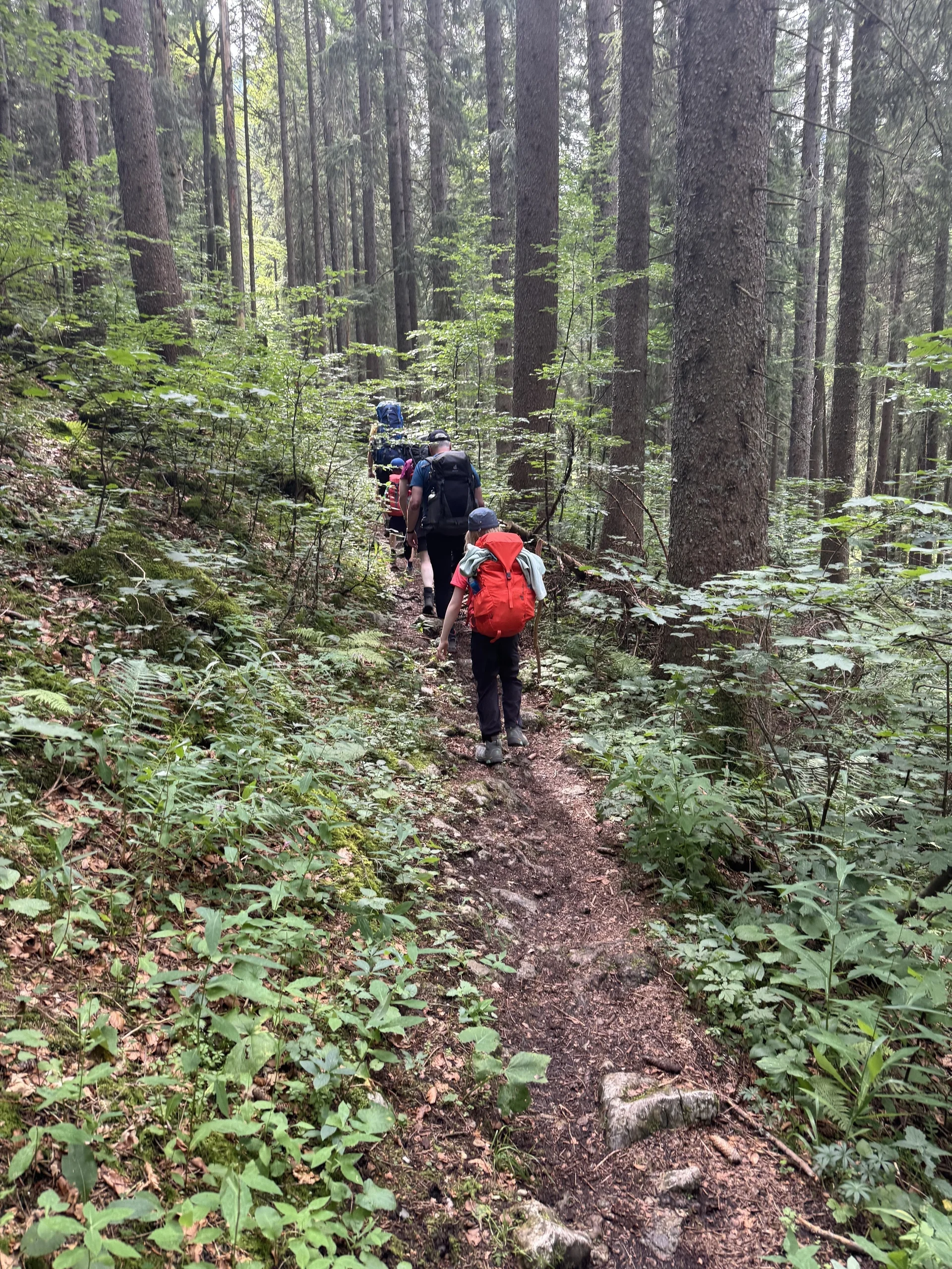 Wandergruppe im Wald | © Patrick Schönfeldt