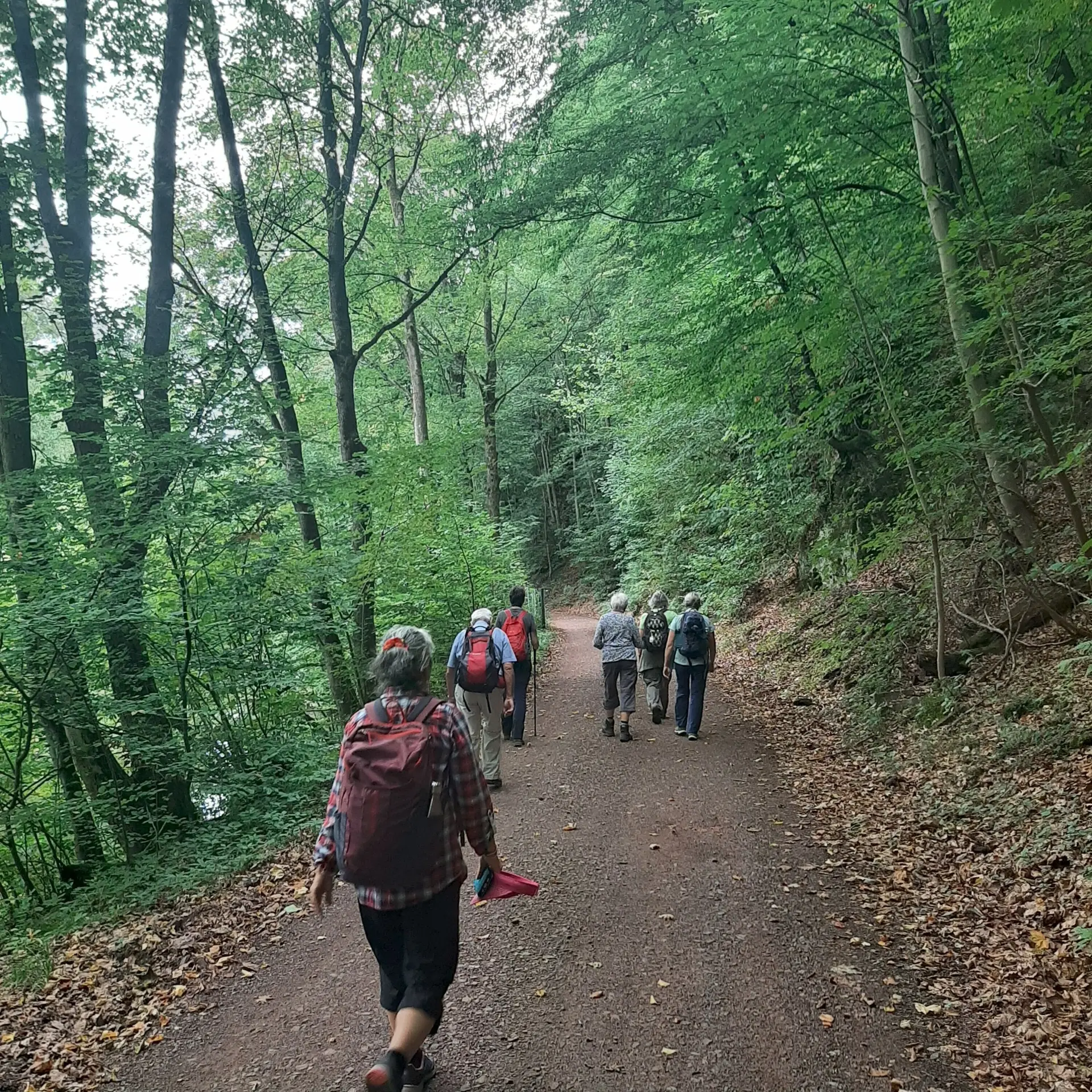 Teilnehmer-einer-Wanderung-an-der-Rappbodetalsperre | © Beate Straube