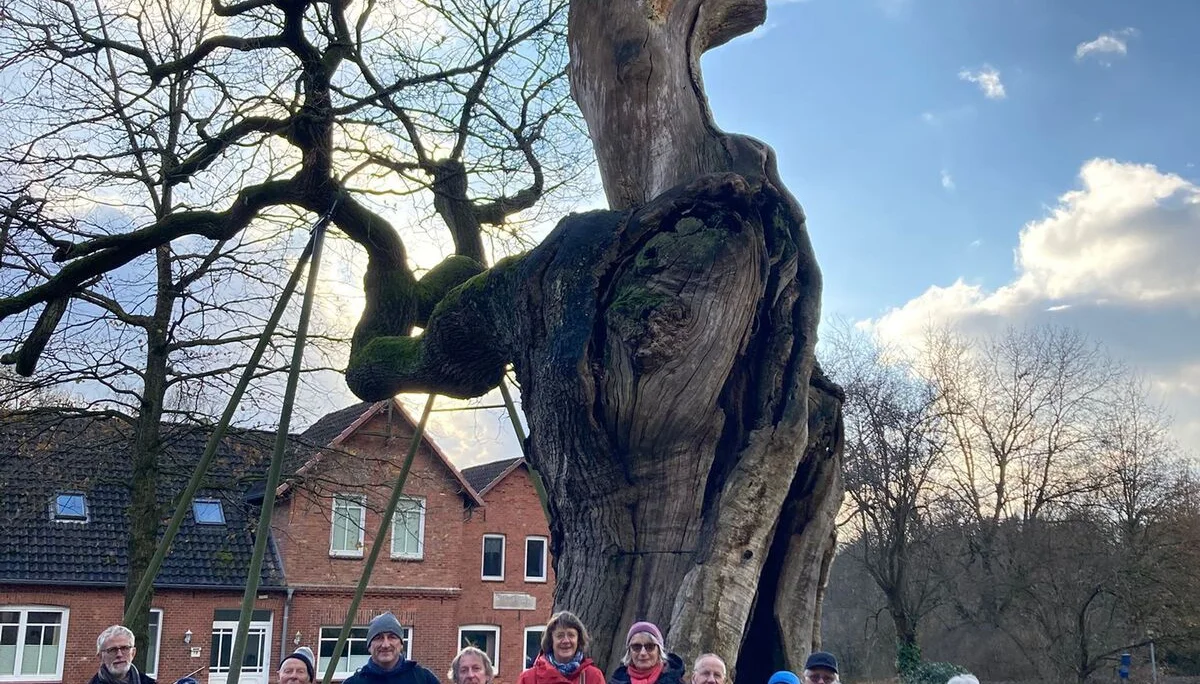 Wandergruppe vor einer Eiche in Dötlingen | © Frank Görisch