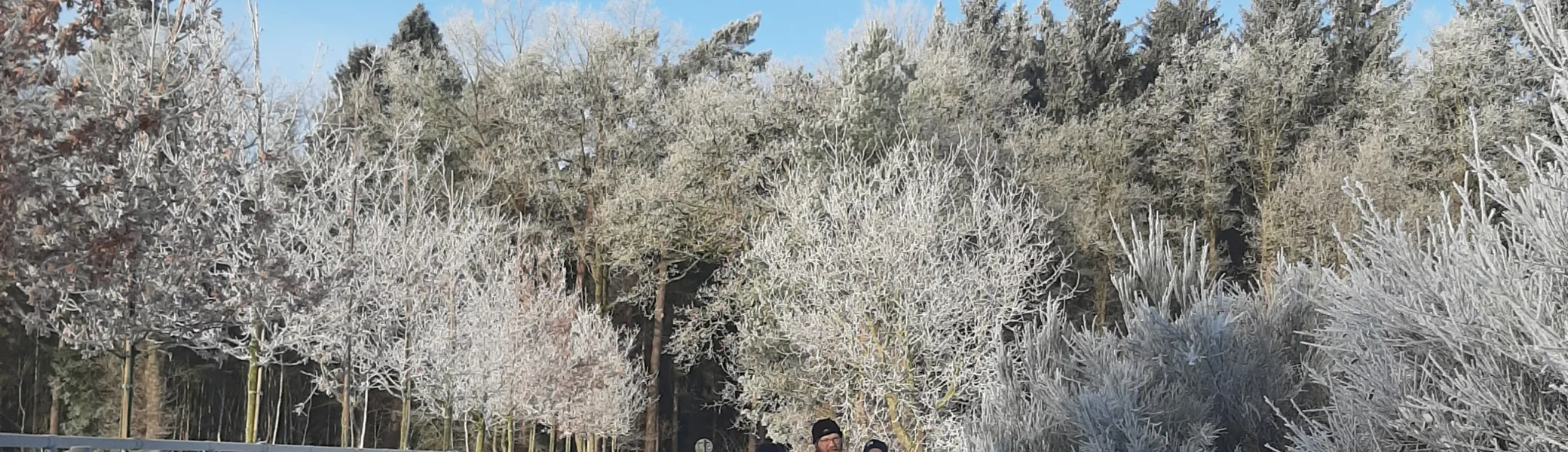 Wandergruppe läuft im Schnee einen Wanderweg entlang | © Beate Straube