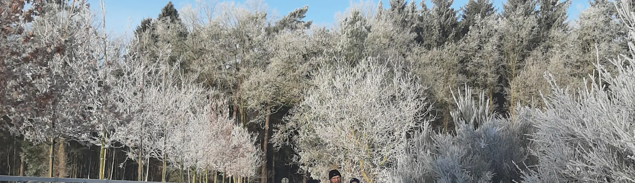 Wandergruppe läuft im Schnee einen Wanderweg entlang | © Beate Straube