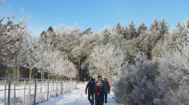 Wandergruppe läuft im Schnee einen Wanderweg entlang | © Beate Straube