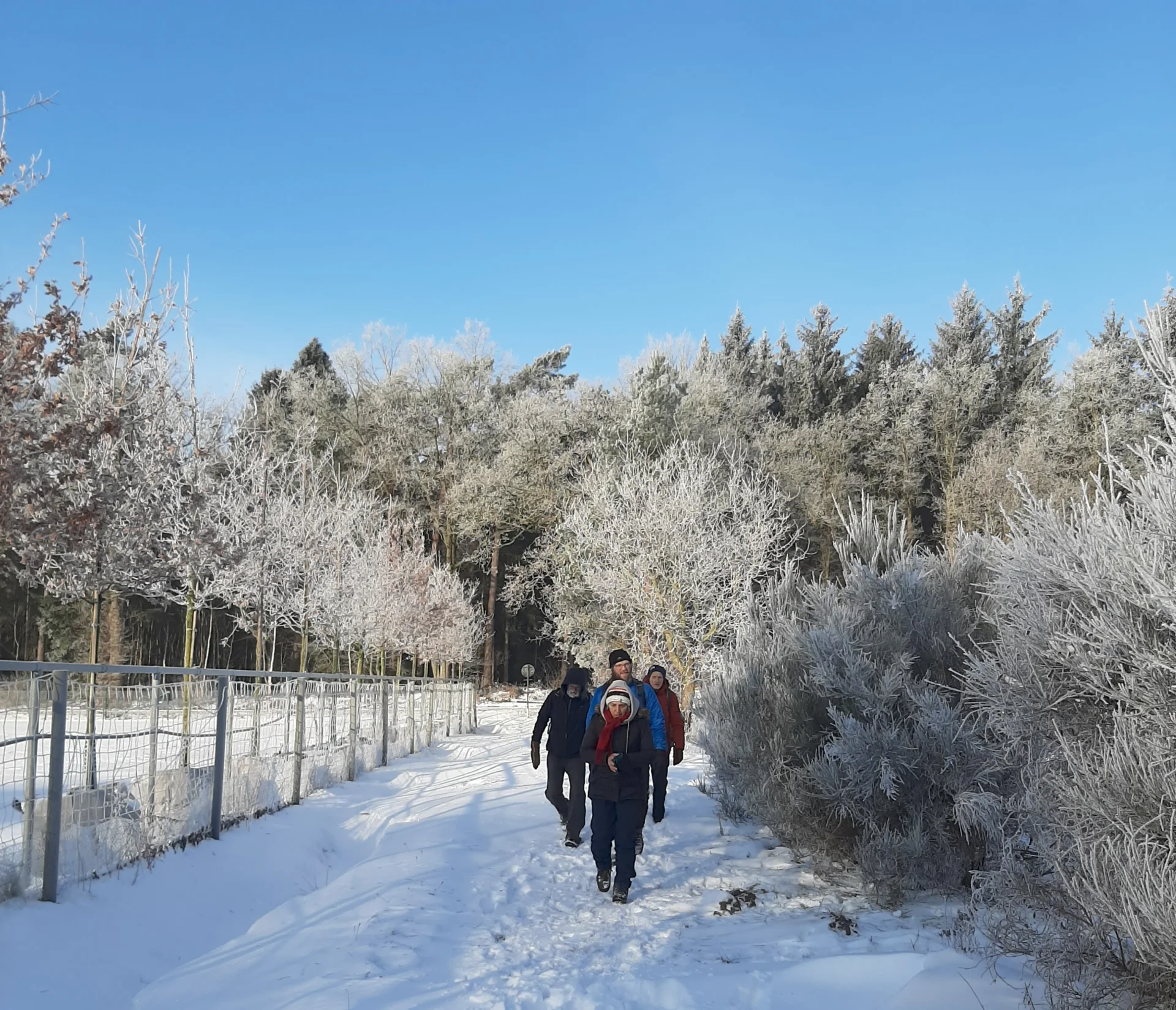 Wandergruppe läuft im Schnee einen Wanderweg entlang | © Beate Straube