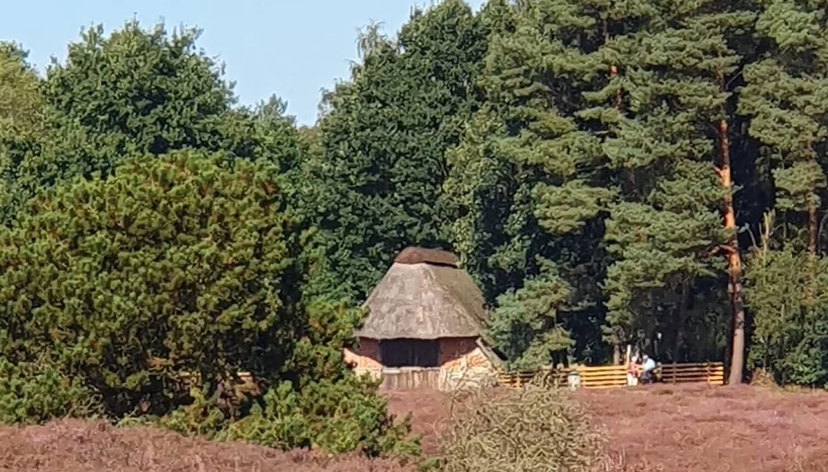 Hütte im Pestruper Gräberfeld, Heidefeld im Vordergrund und Bäume im Hintergrund | © Elke Brüggemann