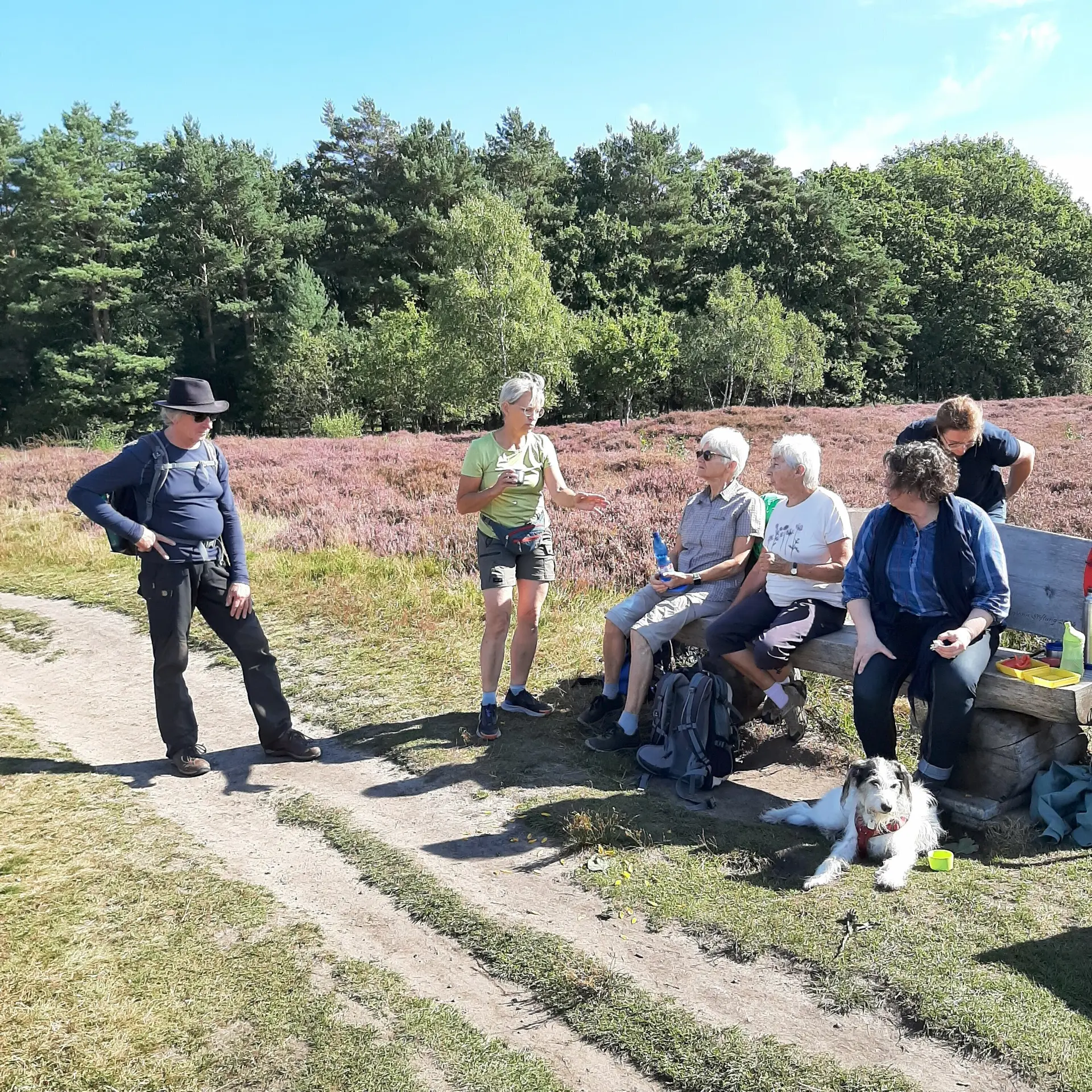 Eine Gruppe Wanderer mit Hund sitzen auf einer Bank, im Hintergrund Heidelandschaft  | © Elke Brüggemann