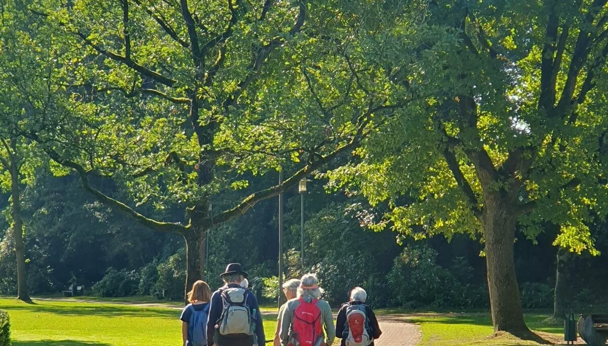 Eine Gruppe wandert durch einen Park mit hohen Bäumen | © Elke Brüggemann