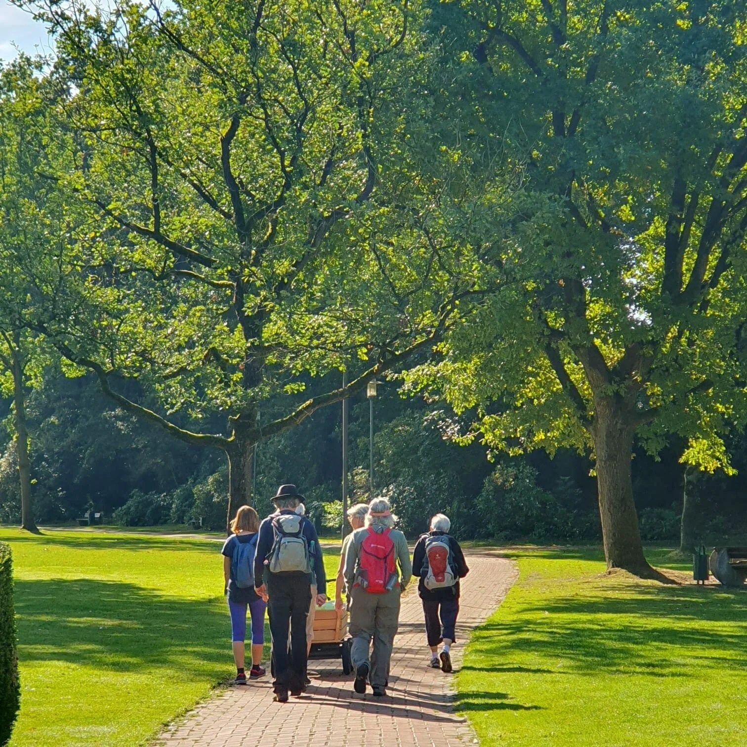 Eine Gruppe wandert durch einen Park mit hohen Bäumen | © Elke Brüggemann