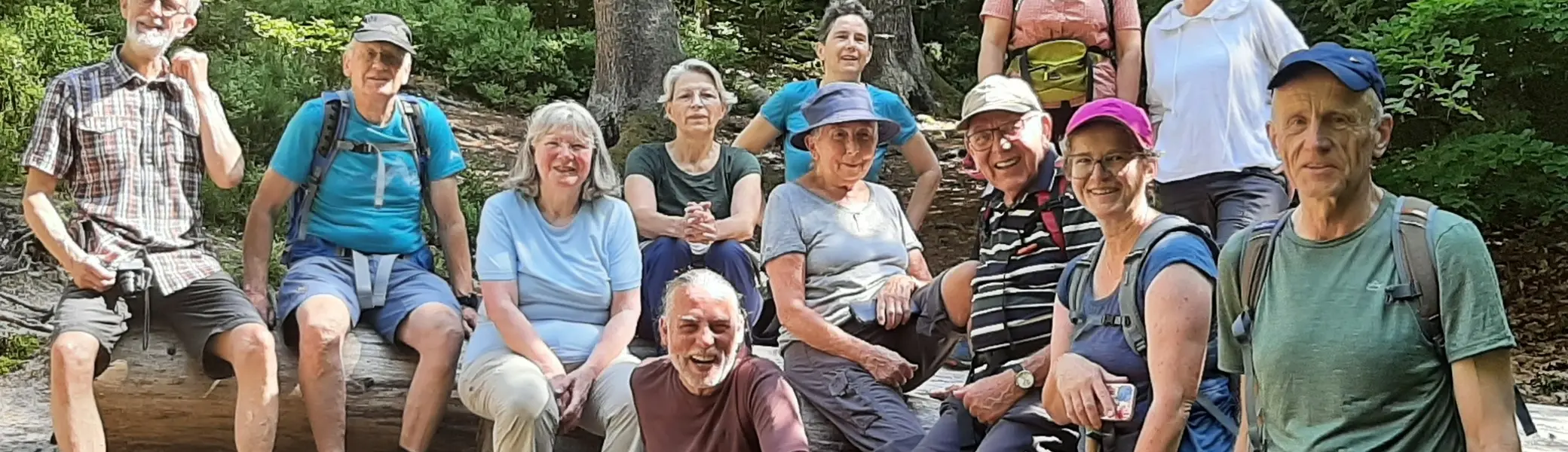 Wandergruppe sitzt im Wald auf Baumstämmen | © Beate Straube