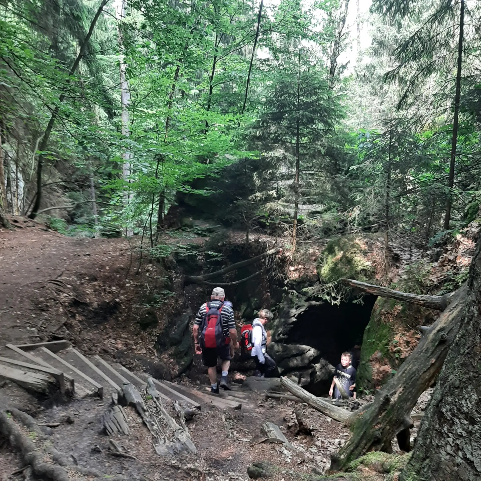 Teufelsschlüchte; Wandergruppe geht über Treppen in eine Schlucht | © Beate Straube