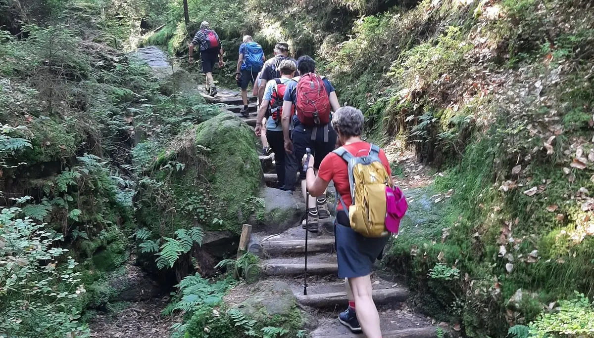 Wandergruppe geht über Treppen einen Hang hinauf | © Beate Straube