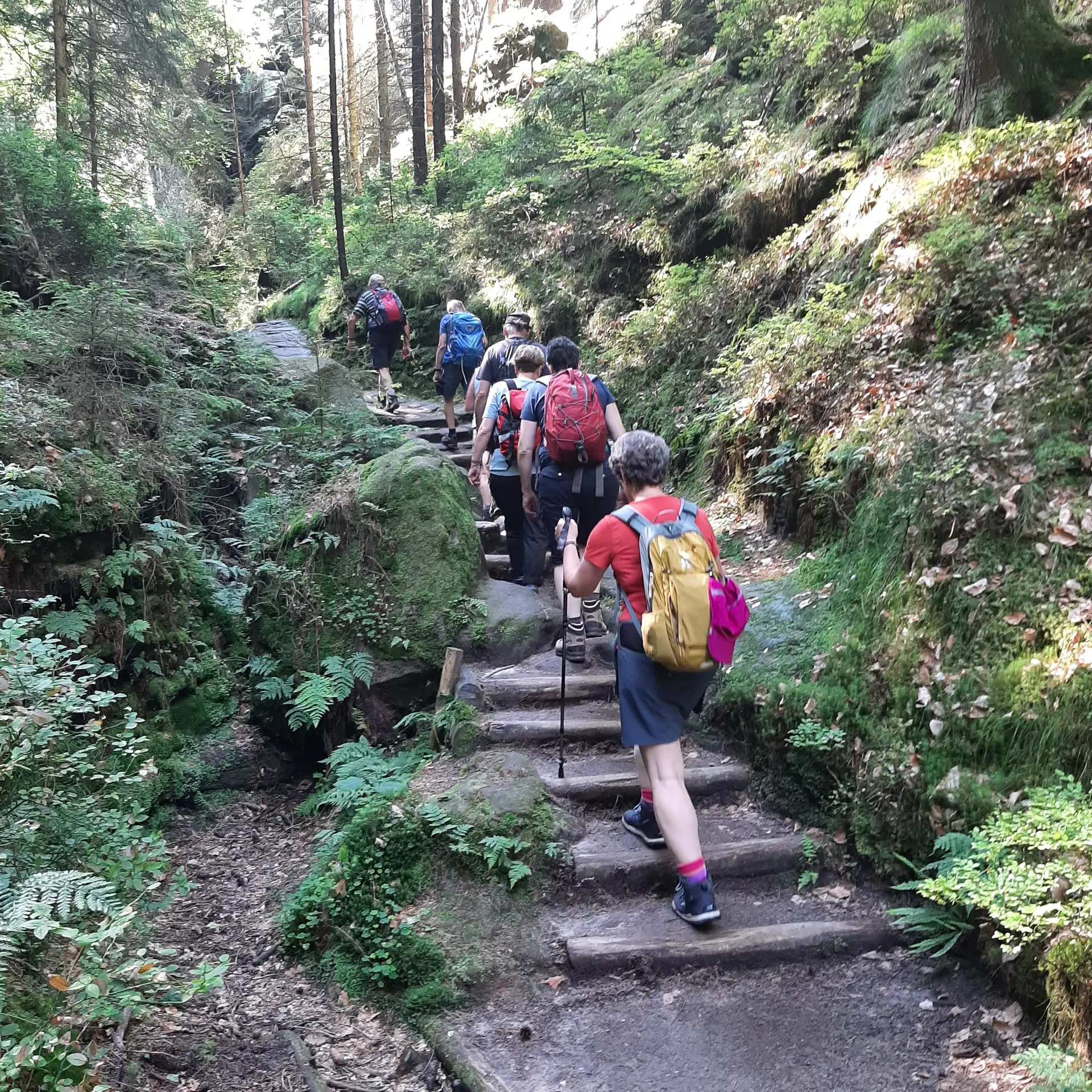 Wandergruppe geht über Treppen einen Hang hinauf | © Beate Straube