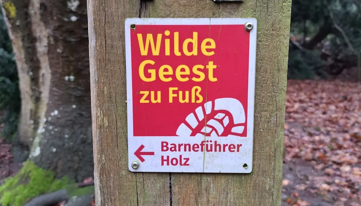 Wanderbild aus der Wildeshauser Geest | © Elena Selders