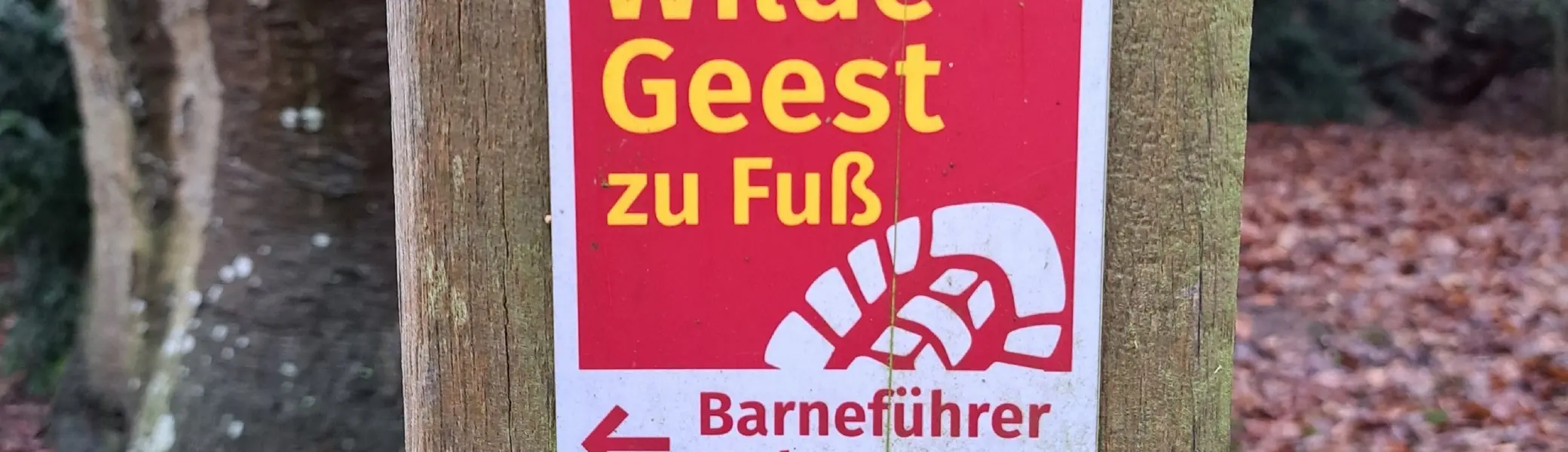 Wanderbild aus der Wildeshauser Geest | © Elena Selders