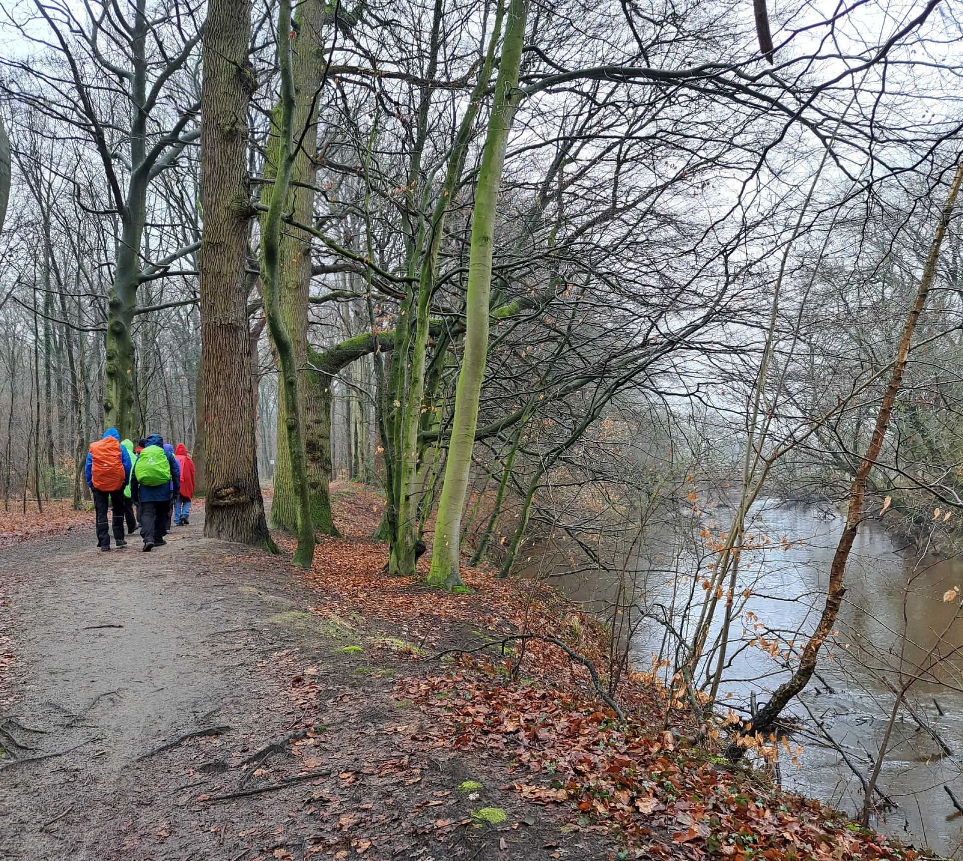 Wanderbild aus der Wildeshauser Geest | © Elena Selders