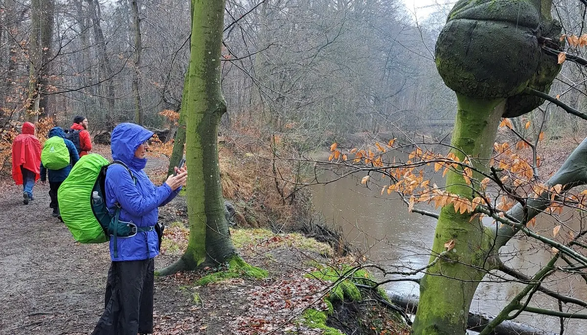 Wanderbild aus der Wildeshauser Geest | © Elena Selders