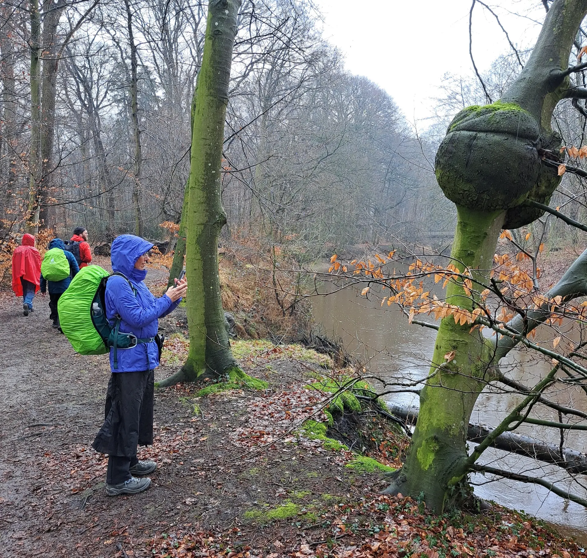 Wanderbild aus der Wildeshauser Geest | © Elena Selders