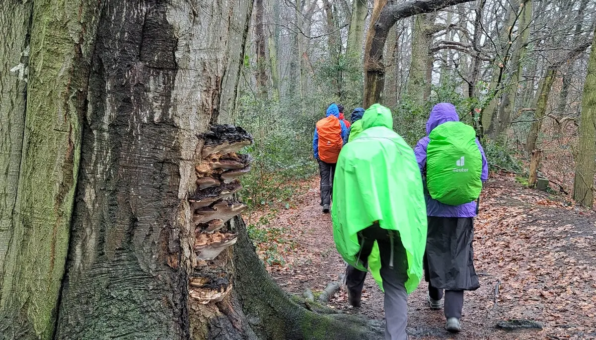 Wanderbild aus der Wildeshauser Geest | © Elena Selders