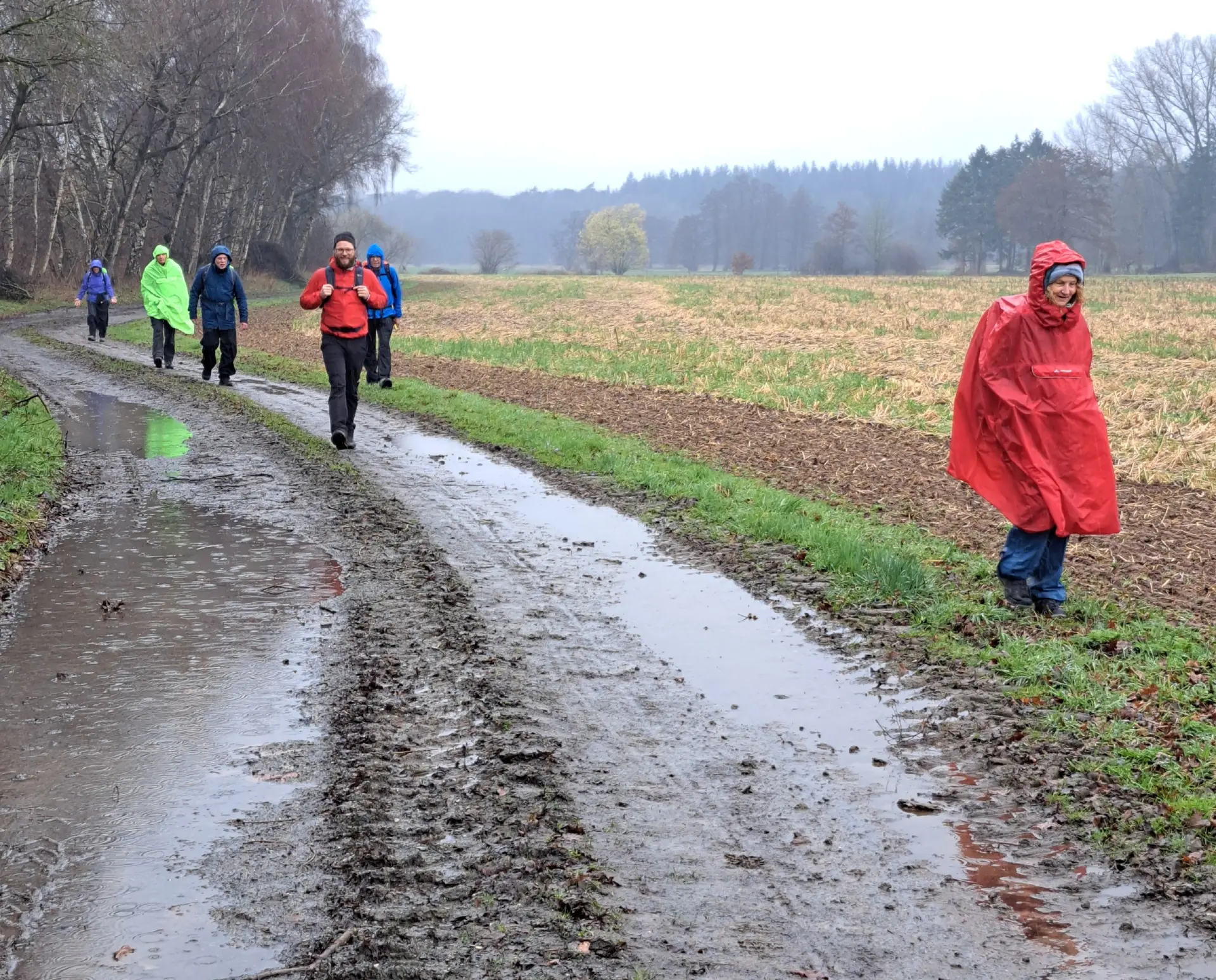 Wanderbild aus der Wildeshauser Geest | © Elena Selders