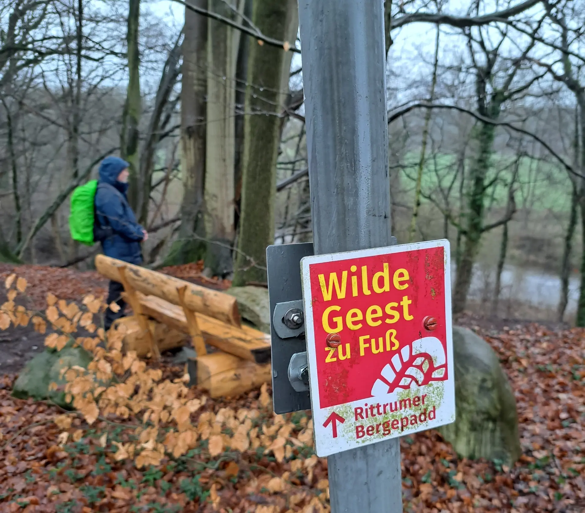 Wanderbild aus der Wildeshauser Geest | © Elena Selders