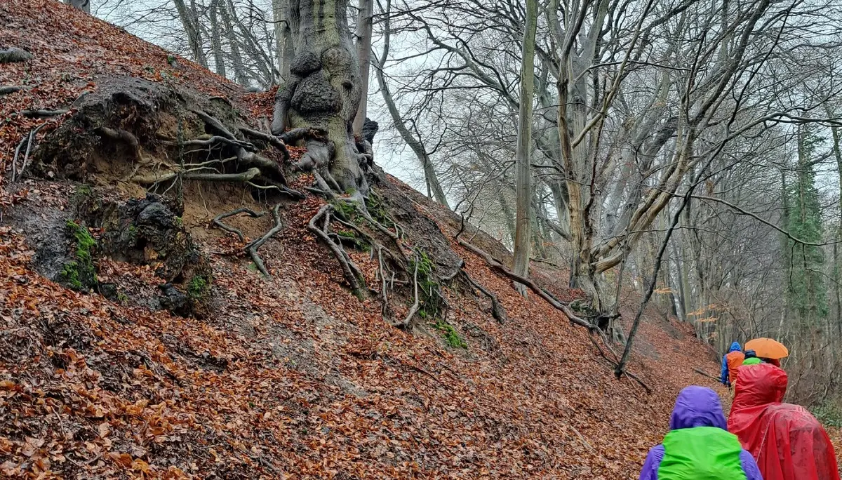 Wanderbild aus der Wildeshauser Geest | © Elena Selders