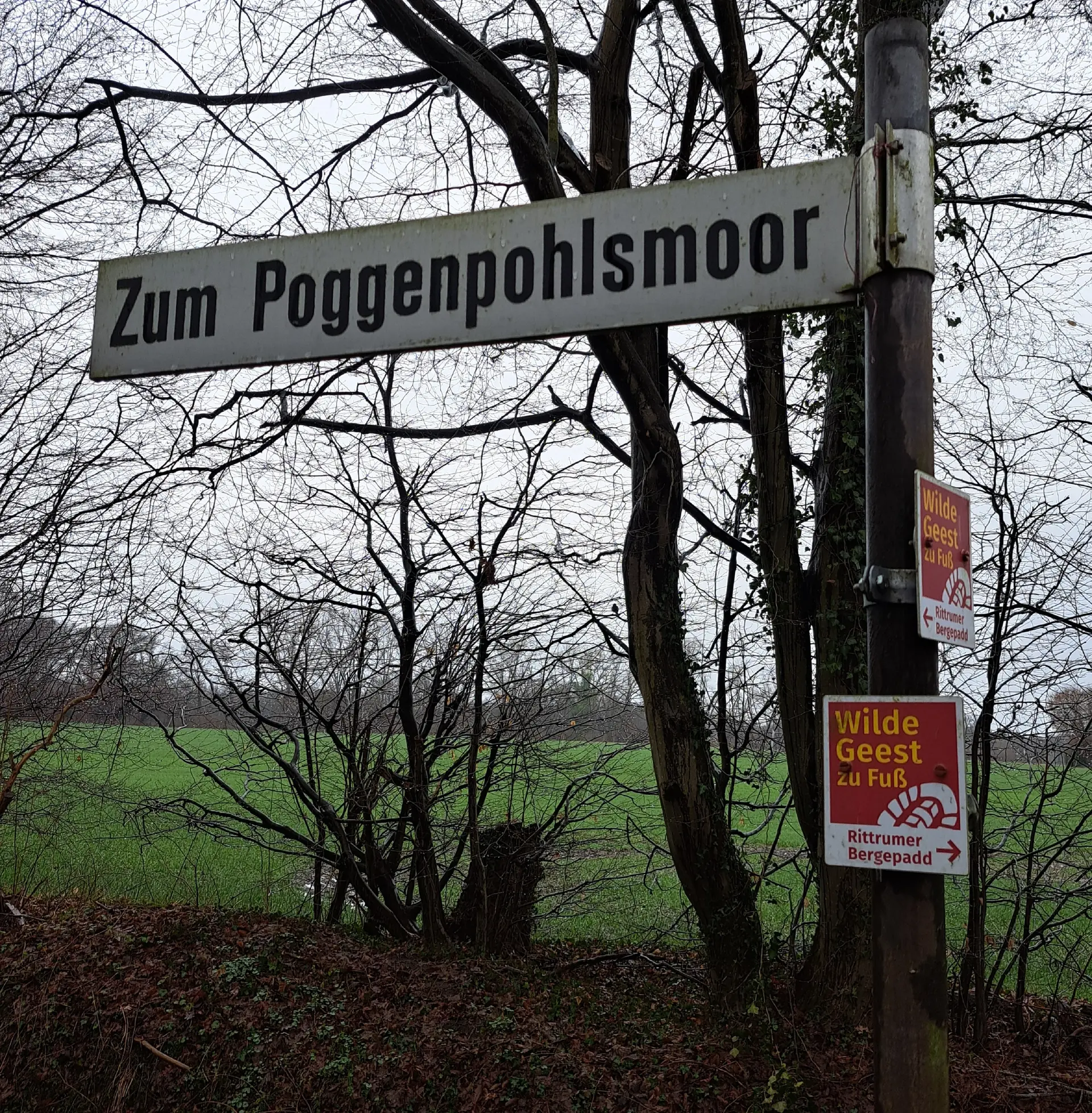 Wanderbild aus der Wildeshauser Geest | © Elena Selders