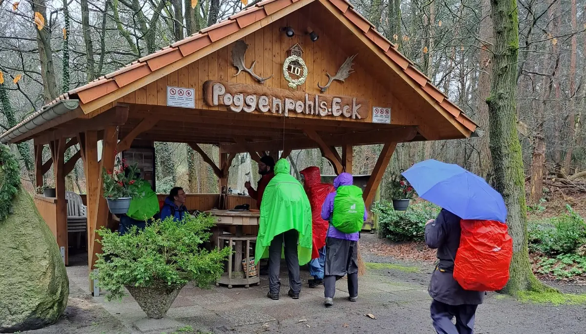 Wanderbild aus der Wildeshauser Geest | © Elena Selders
