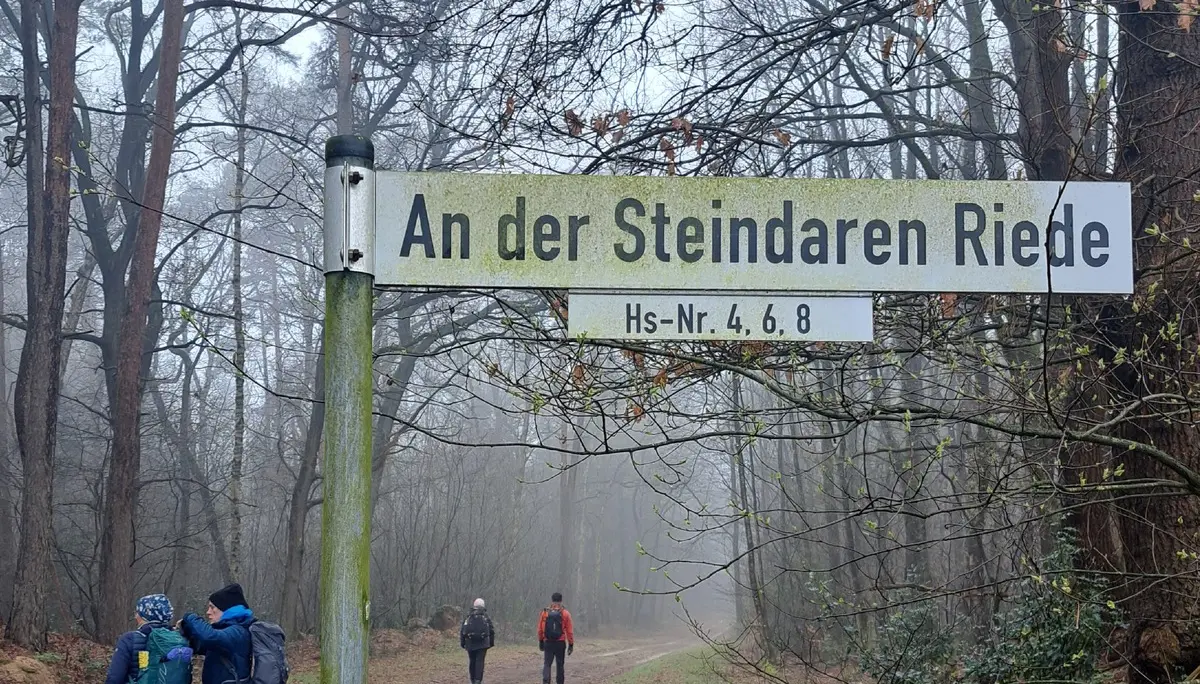 Wanderbild aus der Wildeshauser Geest | © Elena Selders