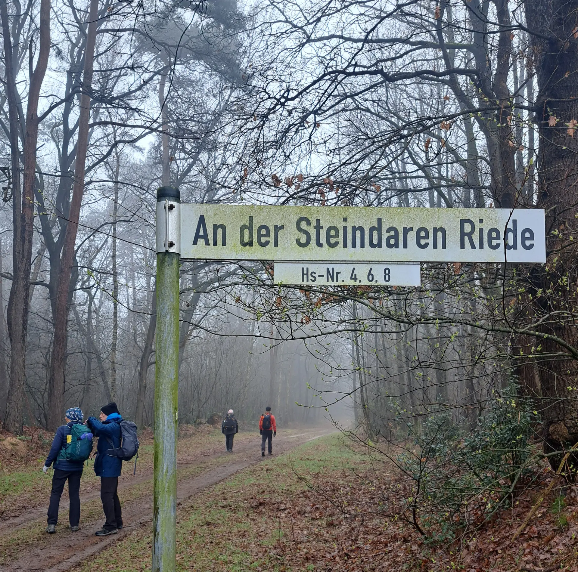 Wanderbild aus der Wildeshauser Geest | © Elena Selders