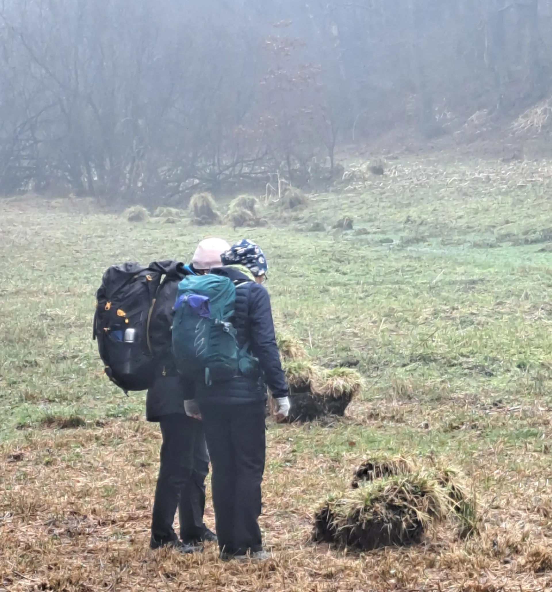 Wanderbild aus der Wildeshauser Geest | © Elena Selders
